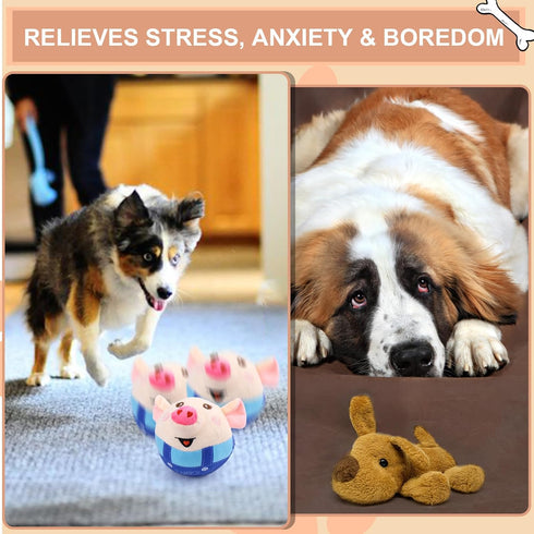 BABORUI Remote Control Interactive Dog Toys, Jumping Squeaky Pig with Recording and Music Modes, Rechargeable for All