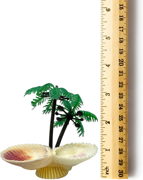 Pack, 5 Needzo All in One Hermit Crab DIY Starter Gravel, Food, Mister Trainer, Sponge, and Palm Tree Feeder, Beginner