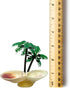 Pack, 5 Needzo All in One Hermit Crab DIY Starter Gravel, Food, Mister Trainer, Sponge, and Palm Tree Feeder, Beginner