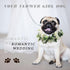 Dog Wedding Flower Collar, Flower Crown for Weddings, Rose Flower Crown, Pet Photo Prop for Cats and Dogs