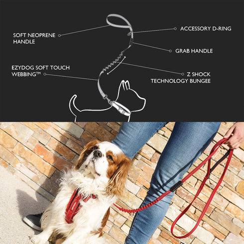 EzyDog Zero Shock Lite Bungee Dog Leash for Small Dogs, Perfect for Dogs 26 lbs or Less, 72, Denim