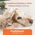 16 OZ Medicated Dog Shampoo for Allergies and Itching: Antifungal Dog Shampoo, Yeast Infection and Bacterial Treatment