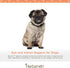Herbsmith Spector - Eye & Vision Support for Dogs, Senior Supplement for Greying Eyes, Antioxidant, 60Ct Large Chews
