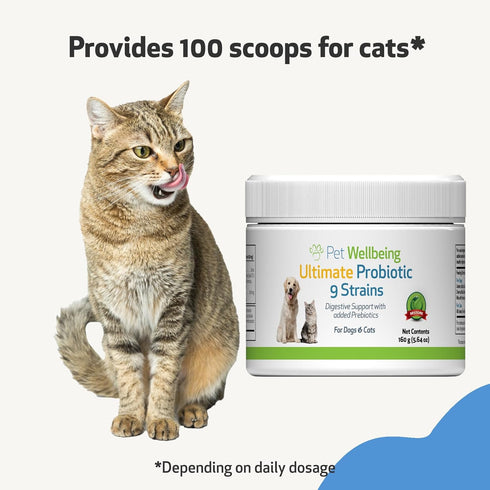 Pet Wellbeing Ultimate Probiotic, 9 Strains for Cats and Dogs, Natural Support for Digestion and Urinary Tract Health