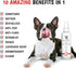 Warren London 10-in-1 After Bath Dog Spray - 16oz Bundle with Dematting Rake, Silky Smooth Finish, Reduces Shedding