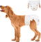 Ambreview Dog Diapers Female, Disposable Pull Up Doggie Diapers for Female Dogs,