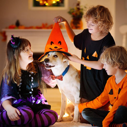 30 Pieces Halloween Fall Dog Bow Ties, Slide Collar Attachments with Elastic Bands for Pet Grooming Accessories