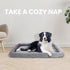Patas Lague Bolster Dog Bed for Medium Dogs - 30''x20'' Soft Foam Dog Sofa Pet Bed, Machine Washable Crate Mat