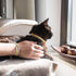 Pettsie Breakaway Cat Collar & Matching Friendship Bracelet, Soft Cotton Adjustable 7.5"-11.5", Yellow