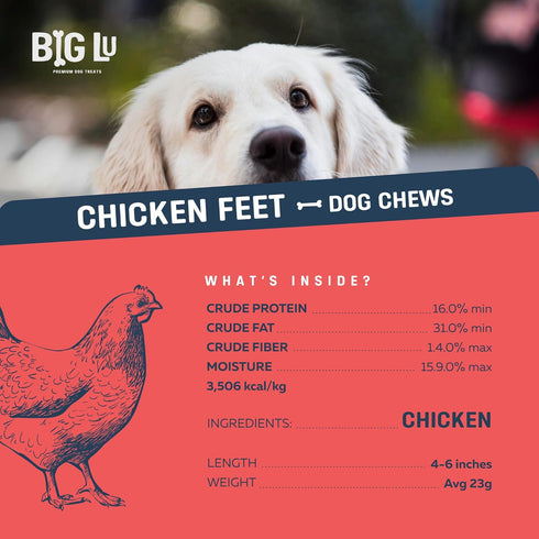 (30-Pack) 100% Nail-Free Chicken Feet Dog Chews, | Natural Single-Ingredient Treats, Rawhide-Free, Long-Lasting, Rich