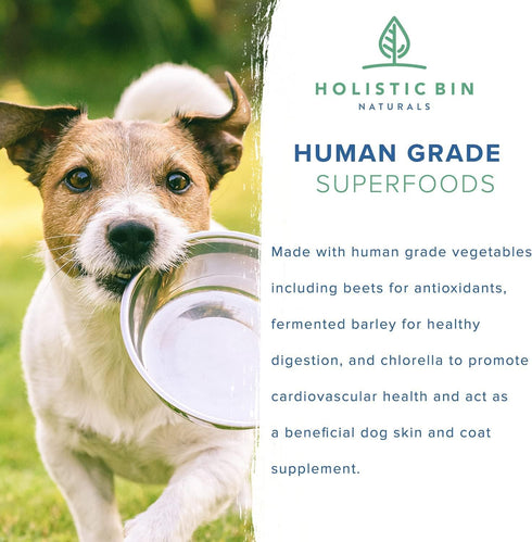 Canine Super Immune Human Grade Powdered Dog Immune Booster with Beet, Chlorella, & Medicinal Mushroom Blend (100g)