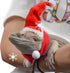 Bearded Dragon Clothes - Christmas Costume with Santa Hat and Scarf, Adjustable Strap, Mini Reptile Outfit (Red)