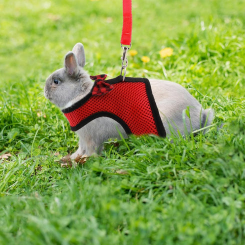 Hypeety Bunny Kitten Harness No Pull Cat Leash Adjustable Soft Vest for Small Animal (RED, S)