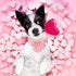 Valentine Dog Collar with Bow Tie, Cotton Collar for Large Dogs, Pink Plaid, Neck 16-24in