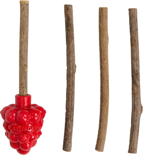 Catstages Dental Raspberry Teether with 4 Silvervine Sticks Included, Cat and Kitten