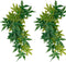 2 Pack Reptile Silk Plants with Suction Cups - Realistic Climbing Vines & Grass Leaves for Terrarium Decor