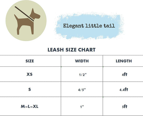 Elegant Little Tail Dog Leash, Strong Durable Webbing Leash for Small Medium Large Dogs, Soft Walking Style