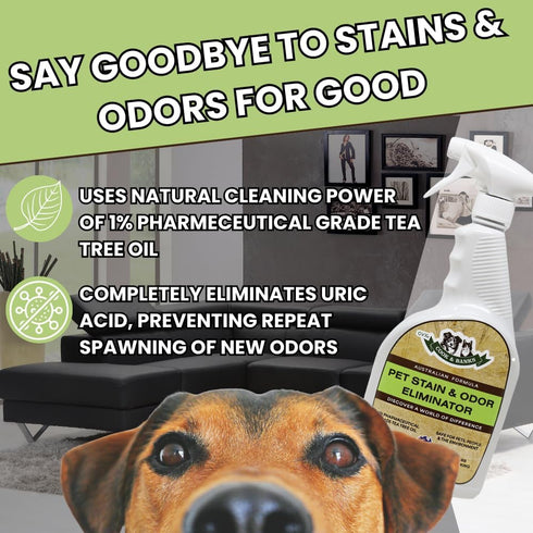 Cook & Banks Pet Odor Eliminator - Pet Carpet Cleaner Spray, Dog Urine Cleaner & Cat Spray Deterrent, 32 oz