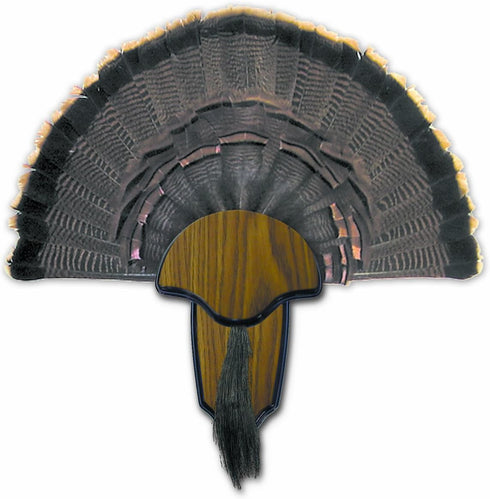 HUNTERS SPECIALTIES Strut Turkey Tail & Beard Mounting Kit - Durable Easy to Assemble Trophy Mount Kit