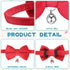 10 Pieces Cat Bowtie Collars with Bell Solid Colors Kitten Collar Breakaway Cat Collar for Boys Girls Adjustable Pet Collar with Safety Buckle Kitten Puppy Graduation Wedding Birthday Pet Accessories