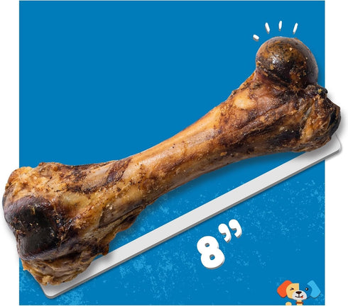8" 2 Pack Jack&Pup Pork Femur Bones for Dogs, Big Bones for Large Dogs, Gourmet Ham Beef Bones for Agressive Chewers