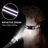 Reflective Nylon Martingale Collar for Dogs, Adjustable Quick Release No Slip Training Collar (Medium, Purple)