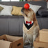 1 Piece Red Formal Dog Tuxedo Bandana with Bow Tie and Neck Tie for Dogs and Cats, L
