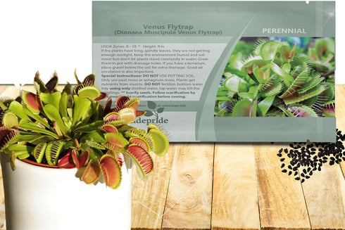 Outsidepride Venus Flytrap Seeds - 10 Pcs Perennial, Unique & Carnivorous, Indoor