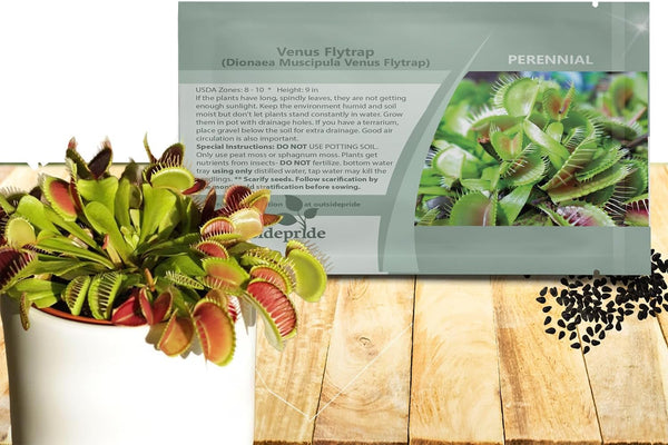Outsidepride Venus Flytrap Seeds - 10 Pcs Perennial, Unique & Carnivorous, Indoor