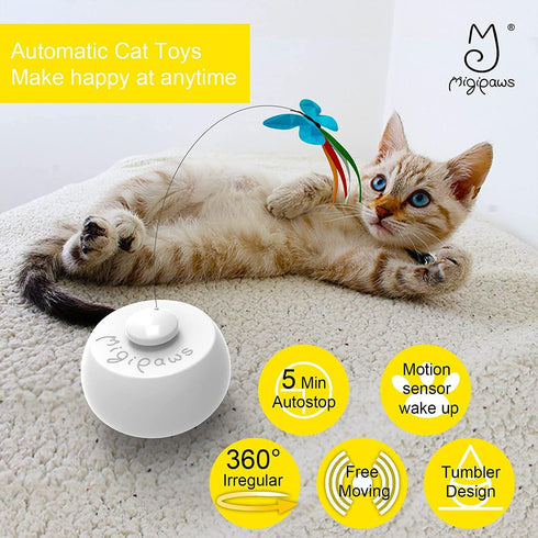 Migipaws Interactive Cat Toys, Butterfly & Feather Kitten Toy, Automatic Spinning Ball for Indoor Bored Cats, 3