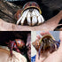14 Kind Natural Hermit Crab Shells 14PCS, Size 1" - 3.5", Opening 0.8" - 1.5", Pearl Turbo Seashell Décor