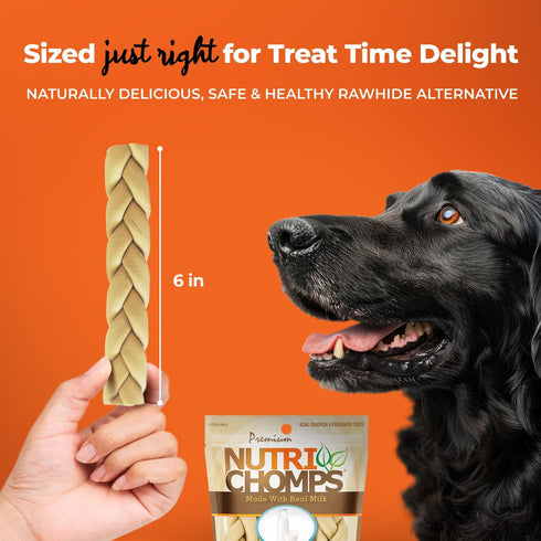 NutriChomps Dog Chews - 6-inch Braids, Rawhide-Free Dog Treats, Healthy Real Chicken, Peanut Butter and Milk flavors,