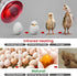 Bulb 150 Heat Lamp for Chickens Coop Brooder and Reptile Heat Watt Infrared Red Light