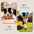 EHWZ Frozen Freeze Bone for Dogs - Treat Chew Dog Toy for Aggressive Chewers to Keep Them Busy, Ice Cream Holder