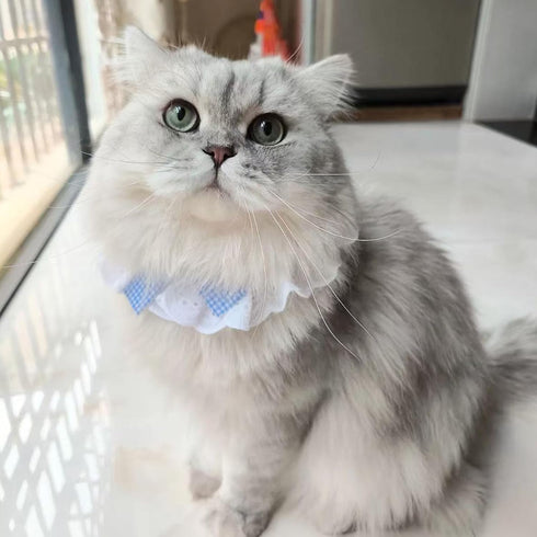 ANNUOZE 6PCS Pet Lace Bib, Sweet Cat Bandana with Bow, Cotton Dog Saliva Towel, Cute Round Neck Scarf for Kitty Puppy
