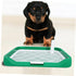 PENIKOKO Dog Toilet Indoor Potty Tray Multi-Functional Dog Pee Potty for Small Easy to Clean Design Reduces Floor