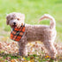 30 Pack 22.8"x15.7" Segarty Dog Bandanas, Pet Scarf Triangle Plaid Bibs Accessories Bulk for Medium Small Dogs Cats