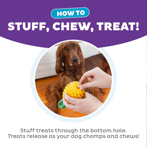 Outward Hound Dental Pineapple Chew Toy, Interactive Treat Stuffer, Durable Stuffable Dog Toy, Yellow