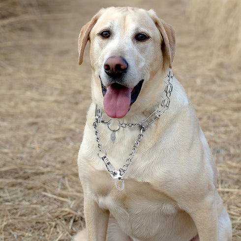Stainless Steel Dog Training Collar with Quick Release Buckle, Adjustable Chain Collar 26in x 4.0mm (Neck up to 23in) XL