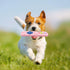 2 PCS Durable Silicone TV Stick Dog Chew Toys, Squeaky Puppy Teething Toys for Training and Teeth Cleaning, Pink Grey