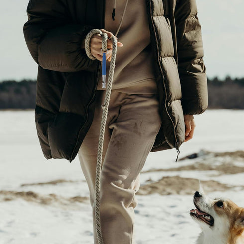 Mipcase Dog Whistle to Stop Barking, Adjustable Whistle for Dog Training