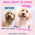 16 oz, Dog Shampoo & Conditioner with Oatmeal, Aloe & Coconut All-in-One for Long, Curly, Short & Wavy Coats, Sensitive