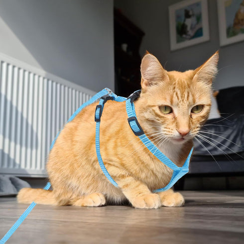 Adjustable Pet Rabbit Harness - Nylon Bunny Harness and Leash for Walking, Running, Outdoor (Blue) Medium