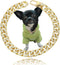 Gold Dog Collar with 14mm Cuban Link Chain, Handmade Iced Out Diamond Pet Jewelry