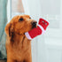 2 Pcs Durable Dog Squeaky Toys, Plush Stuffed Socks, Bite-Resistant Chewing Toys for Pet Birthday