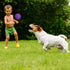 Frienda Squeaky Dog Toy Ball, Reliable Rubber Squeaker for Interactive Puppy Chew Toys, Tennis Shape