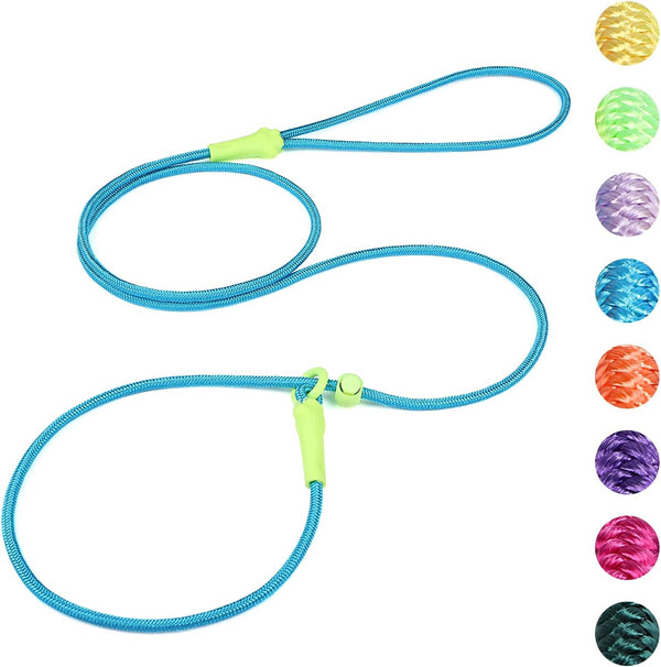 DaFuEn 6 FT Lightweight Dog Slip Lead, Classic Training Leash for Small Medium Puppies, No-Pull Slip Leash and Collar