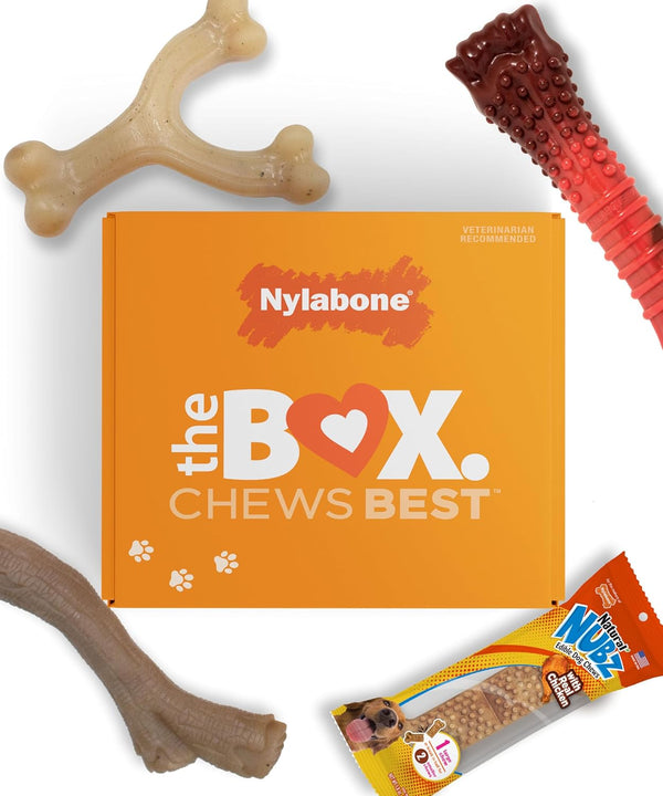 Nylabone Dog Toy Gift Box - Includes 3 Strong Chew Toys and 1 Dog Treat, Chew Toys for Large Dogs, Large/Giant (4 Count)