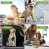 Dog Bowl Pet Travel Collapsible Bowls 2 Pack, Portable Silicone Puppy Bowl for Walking and Traveling, BPA Free