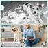 2 Mifoci Pcs Dog Pee Pad Holder Potty Tray Portable Dog Litter Box Toilet Training for Small Medium Large Pet Puppy